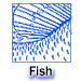 Fish scales and fins.  TPWD illustration by Rob Flemming.